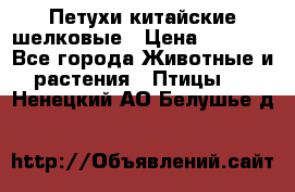 Петухи китайские шелковые › Цена ­ 1 000 - Все города Животные и растения » Птицы   . Ненецкий АО,Белушье д.